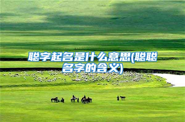 聪字起名是什么意思(聪聪名字的含义)