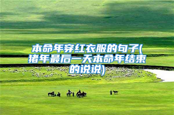 本命年穿红衣服的句子(猪年最后一天本命年结束的说说)