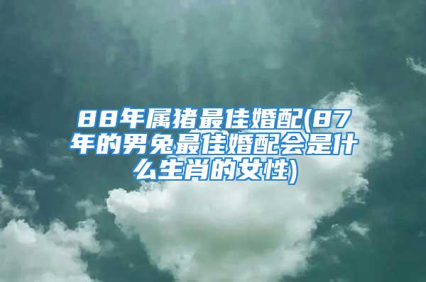 88年属猪最佳婚配(87年的男兔最佳婚配会是什么生肖的女性)