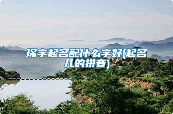 琛字起名配什么字好(起名儿的拼音)