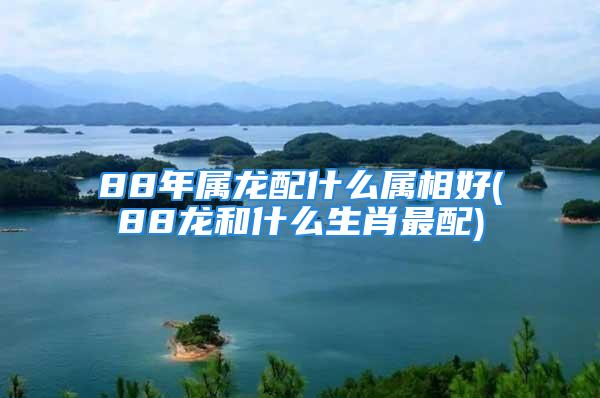 88年属龙配什么属相好(88龙和什么生肖最配)