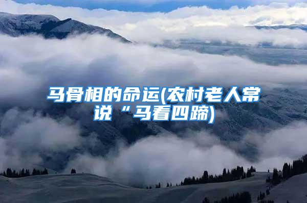 马骨相的命运(农村老人常说“马看四蹄)