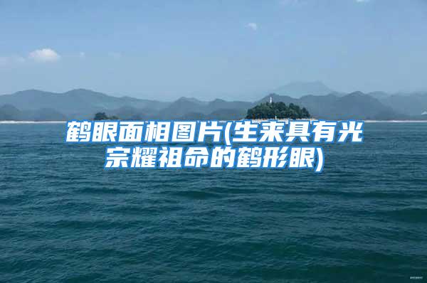 鹤眼面相图片(生来具有光宗耀祖命的鹤形眼)