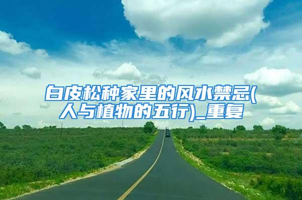 白皮松种家里的风水禁忌(人与植物的五行)_重复