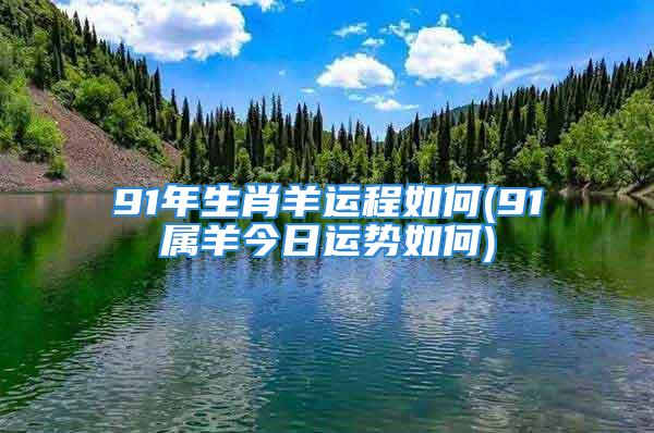 91年生肖羊运程如何(91属羊今日运势如何)