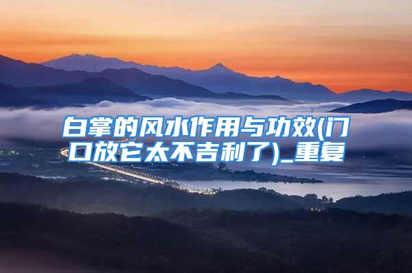 白掌的风水作用与功效(门口放它太不吉利了)_重复