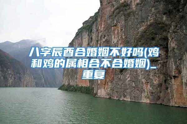 八字辰酉合婚姻不好吗(鸡和鸡的属相合不合婚姻)_重复
