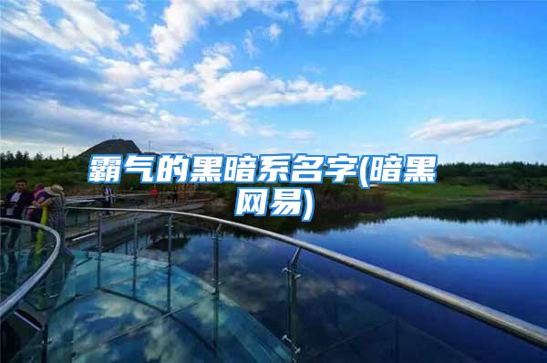 霸气的黑暗系名字(暗黑 网易)