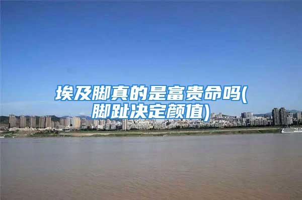 埃及脚真的是富贵命吗(脚趾决定颜值)
