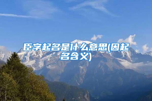 臣字起名是什么意思(因起名含义)