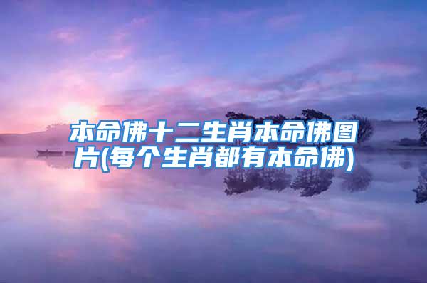 本命佛十二生肖本命佛图片(每个生肖都有本命佛)