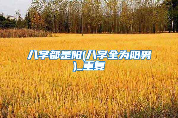 八字都是阳(八字全为阳男)_重复