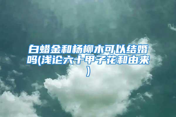 白蜡金和杨柳木可以结婚吗(浅论六十甲子花和由来)