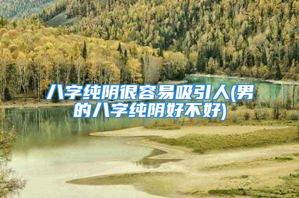 八字纯阴很容易吸引人(男的八字纯阴好不好)