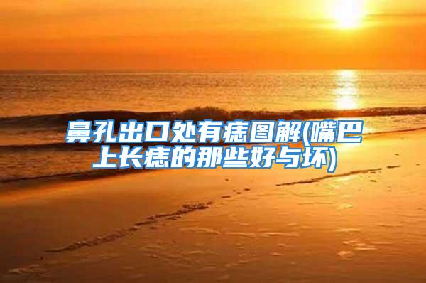 鼻孔出口处有痣图解(嘴巴上长痣的那些好与坏)