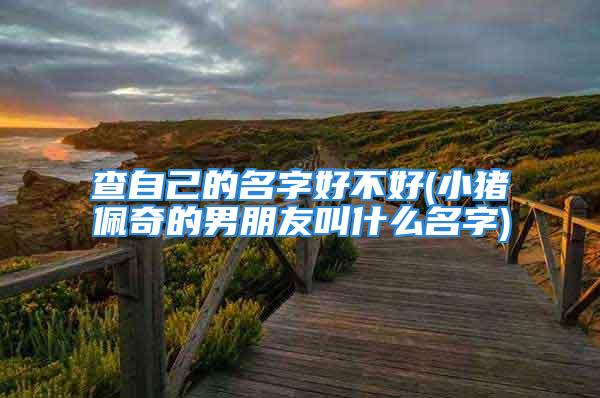 查自己的名字好不好(小猪佩奇的男朋友叫什么名字)