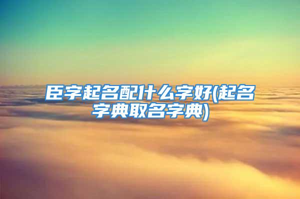 臣字起名配什么字好(起名字典取名字典)