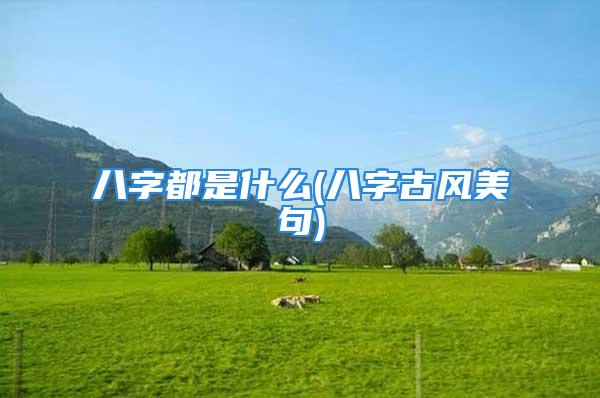 八字都是什么(八字古风美句)