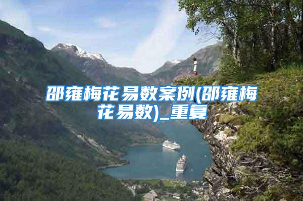 邵雍梅花易数案例(邵雍梅花易数)_重复