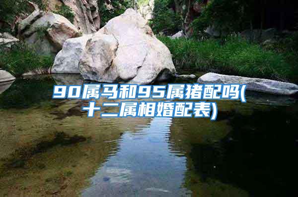 90属马和95属猪配吗(十二属相婚配表)