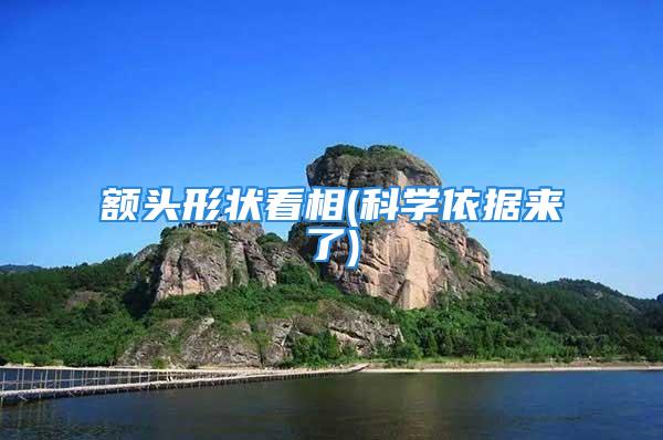 额头形状看相(科学依据来了)