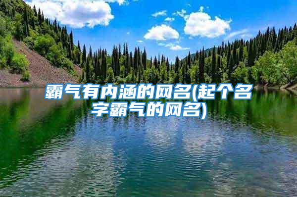 霸气有内涵的网名(起个名字霸气的网名)