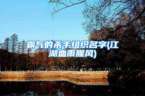 霸气的杀手组织名字(江湖血雨腥风)