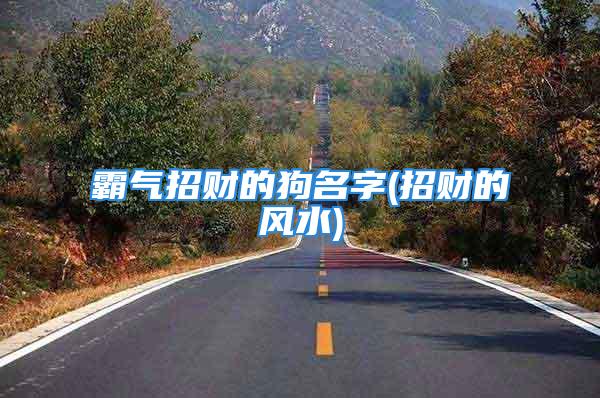 霸气招财的狗名字(招财的风水)