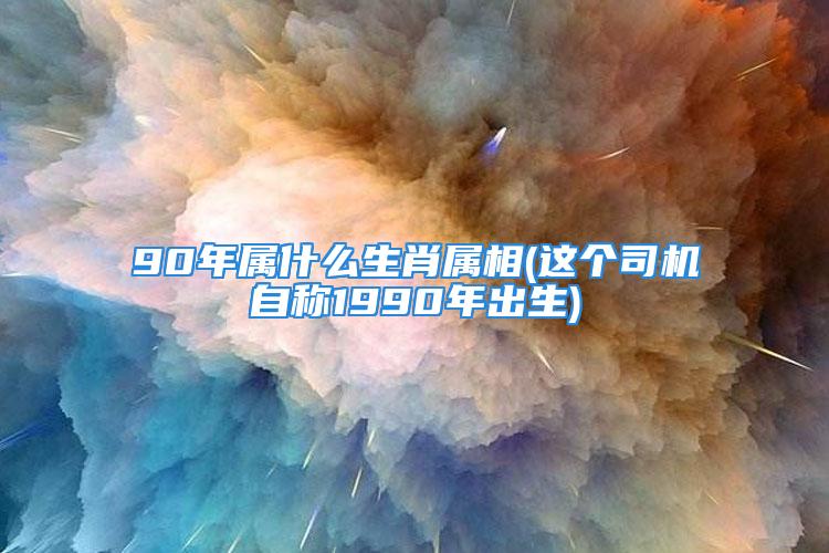 90年属什么生肖属相(这个司机自称1990年出生)