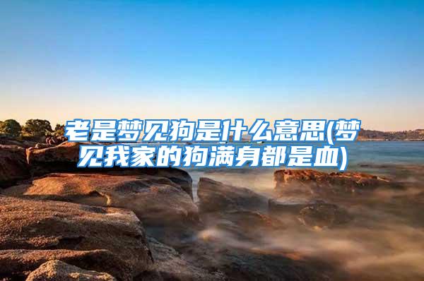 老是梦见狗是什么意思(梦见我家的狗满身都是血)