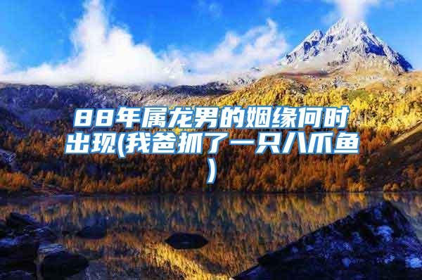 88年属龙男的姻缘何时出现(我爸抓了一只八爪鱼)
