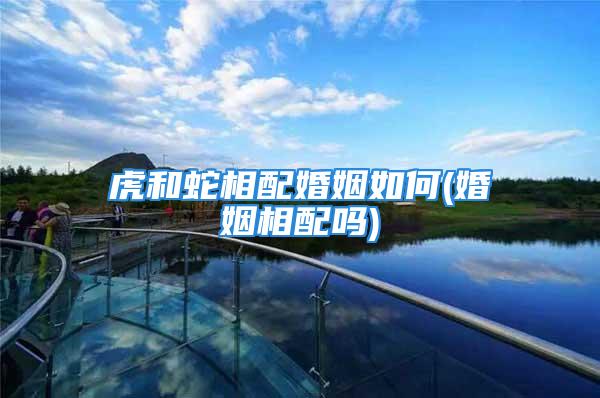 虎和蛇相配婚姻如何(婚姻相配吗)