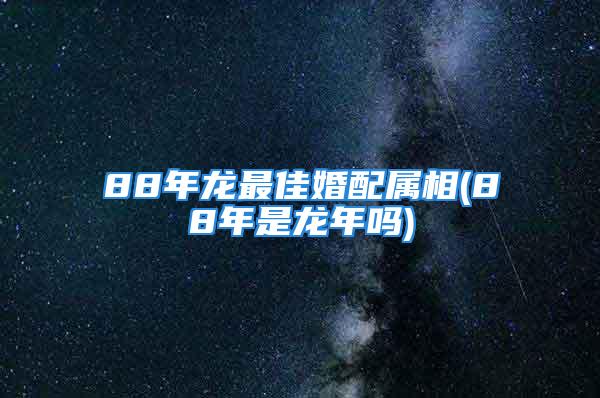 88年龙最佳婚配属相(88年是龙年吗)