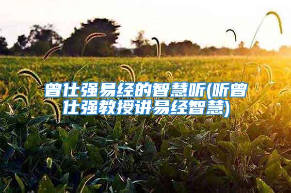 曾仕强易经的智慧听(听曾仕强教授讲易经智慧)