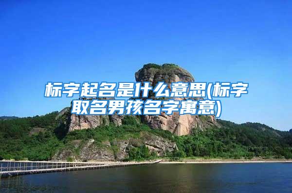 标字起名是什么意思(标字取名男孩名字寓意)