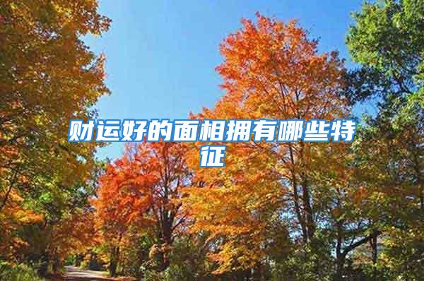 财运好的面相拥有哪些特征
