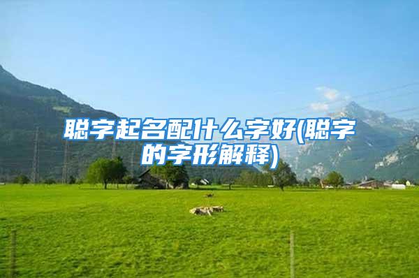 聪字起名配什么字好(聪字的字形解释)