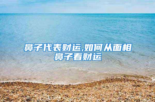 鼻子代表财运,如何从面相鼻子看财运