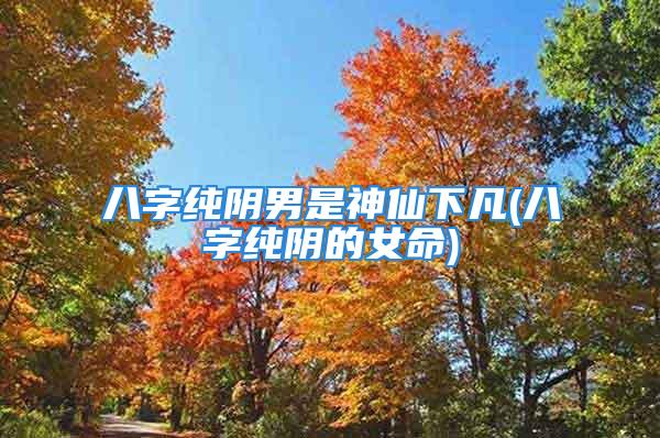 八字纯阴男是神仙下凡(八字纯阴的女命)
