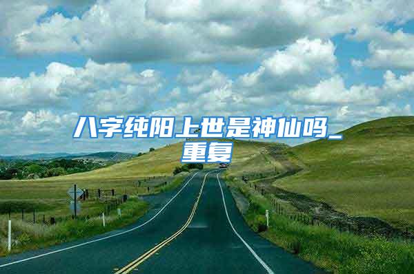 八字纯阳上世是神仙吗_重复