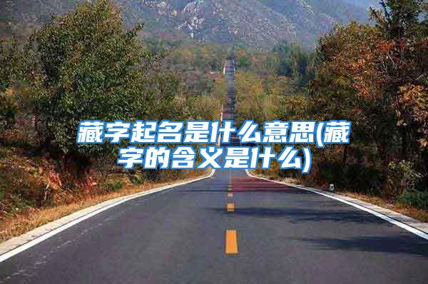 藏字起名是什么意思(藏字的含义是什么)