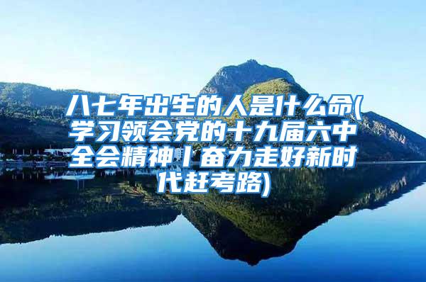 八七年出生的人是什么命(学习领会党的十九届六中全会精神丨奋力走好新时代赶考路)
