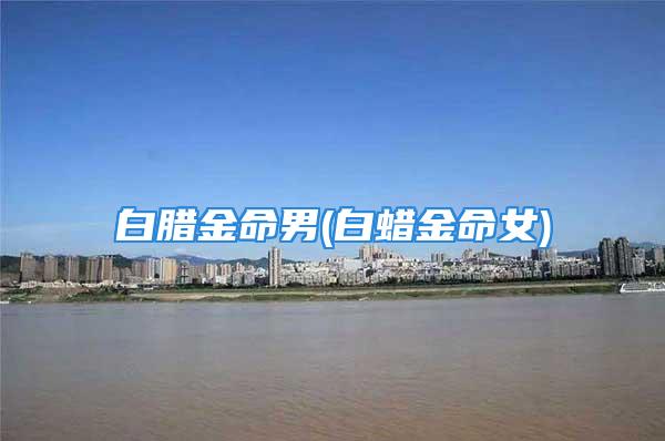 白腊金命男(白蜡金命女)