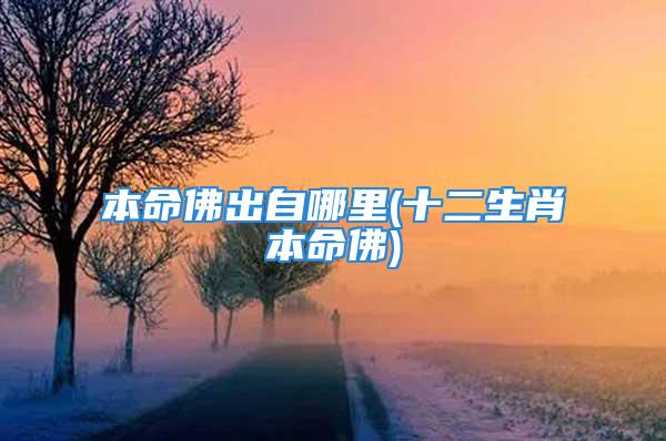 本命佛出自哪里(十二生肖本命佛)