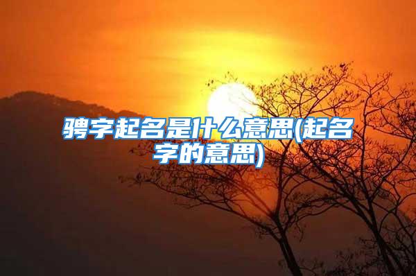 骋字起名是什么意思(起名字的意思)