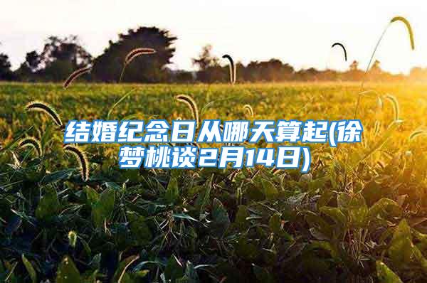结婚纪念日从哪天算起(徐梦桃谈2月14日)