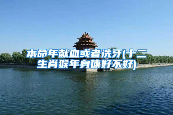 本命年献血或者洗牙(十二生肖猴年身体好不好)