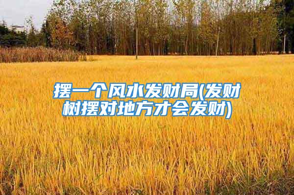摆一个风水发财局(发财树摆对地方才会发财)