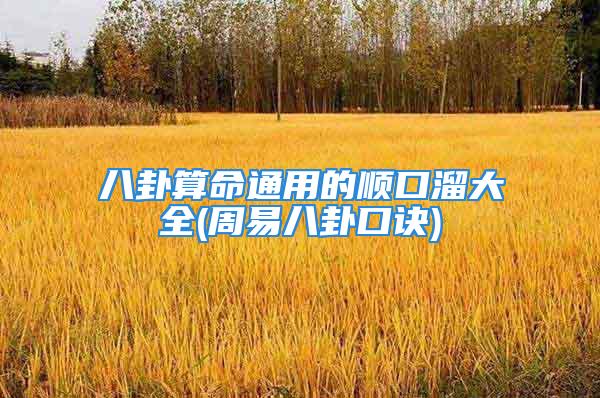 八卦算命通用的顺口溜大全(周易八卦口诀)