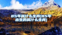 85年属什么生肖(85年出生的属什么生肖)